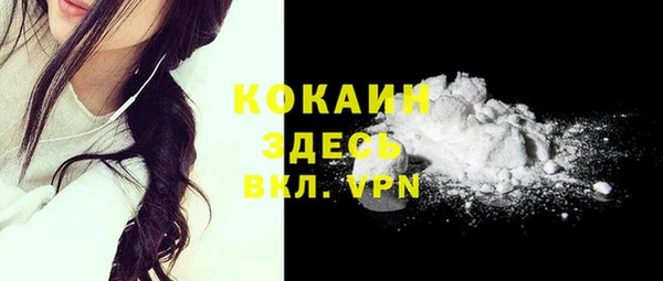 молекула духа Алексин