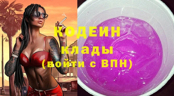 дживик Снежногорск