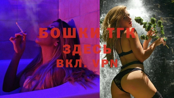 дживик Снежногорск