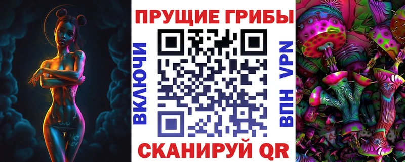 ссылка на мегу зеркало  Заводоуковск  Псилоцибиновые грибы мицелий 