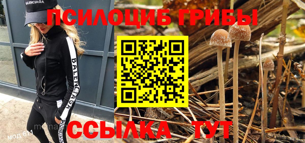 Галлюциногенные грибы мицелий Заводоуковск