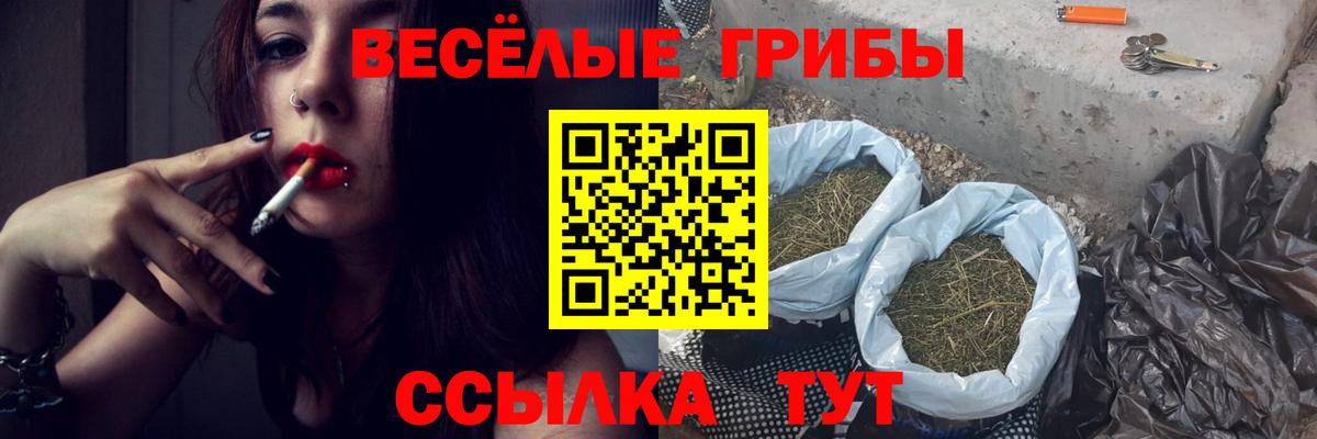 Галлюциногенные грибы мицелий  Галлюциногенные грибы ЛСД  сколько стоит  Вход с VPN  Заводоуковск 
