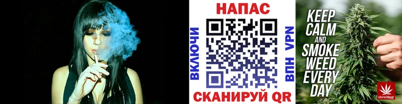 купить наркоту  Заводоуковск  Бошки марихуана конопля 